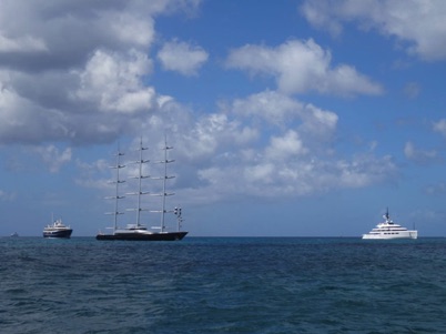 The Maltese Falcon in St. Maarten The Maltese Falcon in St. Maarten